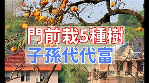 門前不能種什麼花|【門前不能種什麼樹】門前種樹小心踩雷！六種旺宅樹。